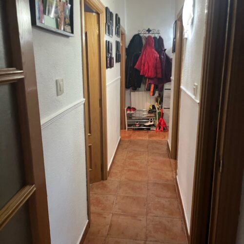 WhatsApp Image 2025-03-15 at 07.49.59 WhatsApp Image 2025-03-15 at 07.49.59