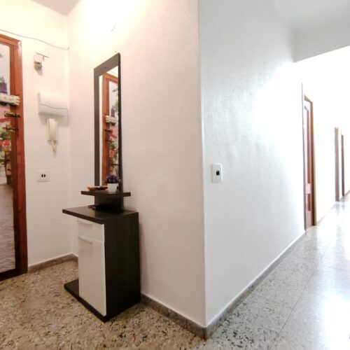 WhatsApp Image 2025-03-18 at 11.31.11 WhatsApp Image 2025-03-18 at 11.31.11