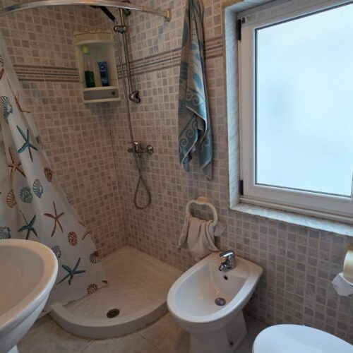 WhatsApp Image 2025-03-25 at 12.50.20 (4) WhatsApp Image 2025-03-25 at 12.50.20 (4)