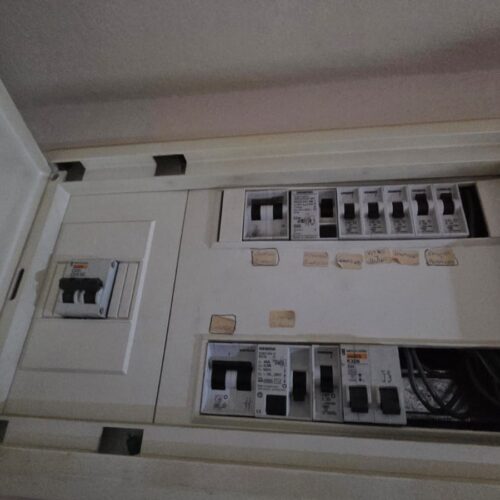 WhatsApp Image 2025-03-25 at 12.50.21 (1) WhatsApp Image 2025-03-25 at 12.50.21 (1)