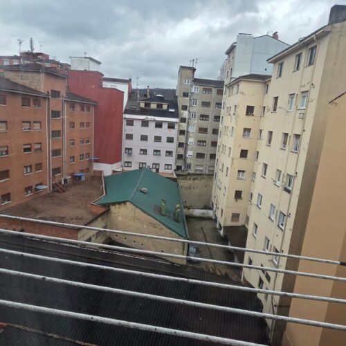 WhatsApp Image 2025-03-25 at 12.50.21 WhatsApp Image 2025-03-25 at 12.50.21