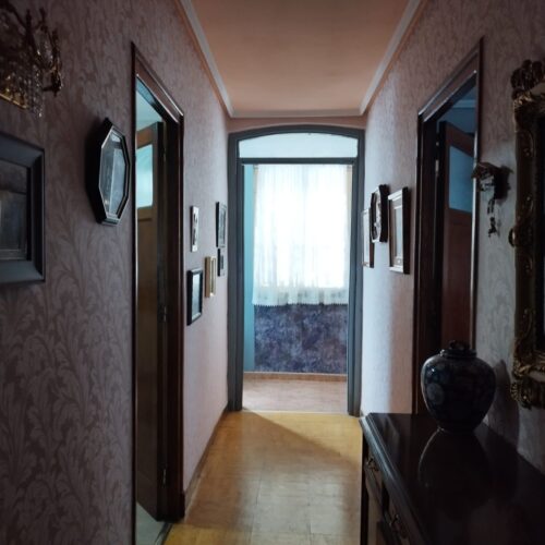 WhatsApp Image 2025-03-31 at 11.06.55 WhatsApp Image 2025-03-31 at 11.06.55