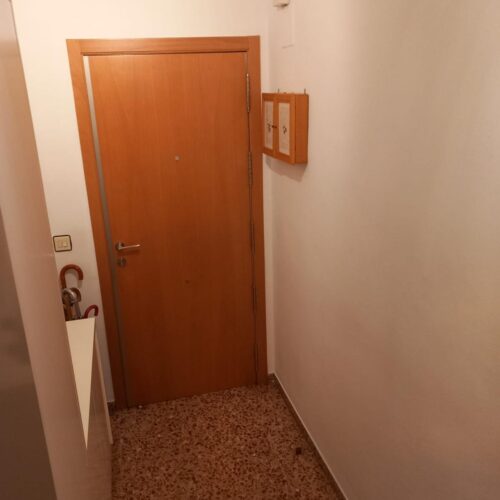 WhatsApp Image 2025-04-01 at 17.08.23 WhatsApp Image 2025-04-01 at 17.08.23