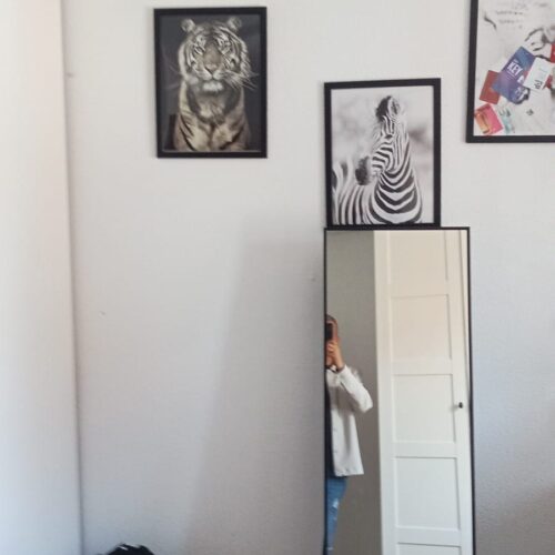 WhatsApp Image 2025-04-10 at 13.03.41 (1)