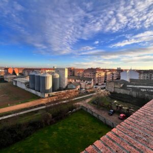 WhatsApp Image 2026-01-21 at 14.26.48