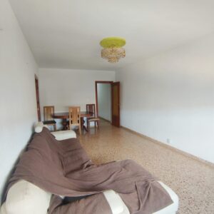 WhatsApp Image 2026-01-22 at 11.11.38 (4)