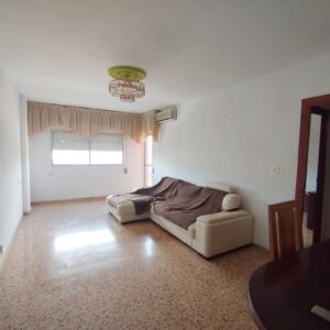 WhatsApp Image 2026-01-22 at 11.11.39 (3)