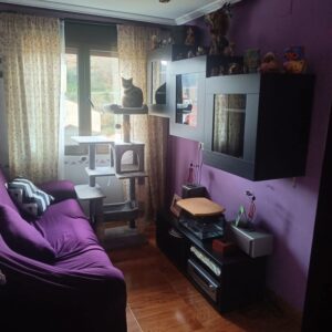 WhatsApp Image 2026-01-29 at 11.32.08 (4) WhatsApp Image 2026-01-29 at 11.32.08 (4)