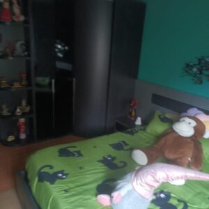 WhatsApp Image 2026-01-29 at 11.32.08 (7) WhatsApp Image 2026-01-29 at 11.32.08 (7)