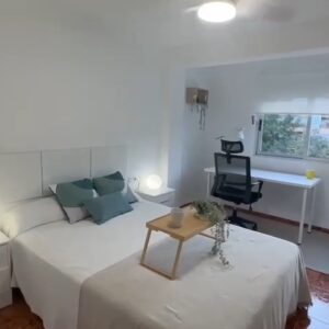 WhatsApp Video 2026-01-20 at 13.16.33-2