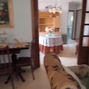 WhatsApp Video 2026-01-27 at 16.41.08-3