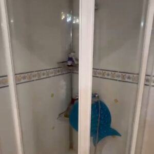 WhatsApp Video 2026-01-30 at 12.54.16-0