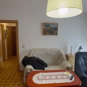 WhatsApp Video 2026-01-30 at 12.54.16-0