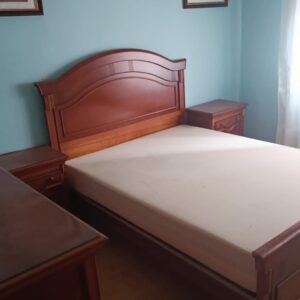 WhatsApp Image 2026-02-05 at 13.38.59