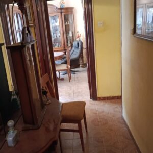 WhatsApp Image 2026-02-05 at 13.39.00 (8)