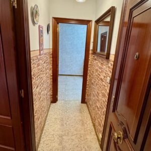 WhatsApp Image 2026-02-09 at 13.34.50 (1) WhatsApp Image 2026-02-09 at 13.34.50 (1)