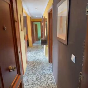 WhatsApp Video 2026-02-05 at 10.21.46-0 WhatsApp Video 2026-02-05 at 10.21.46-0