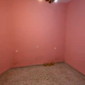 WhatsApp Video 2026-02-10 at 13.54.07-4 WhatsApp Video 2026-02-10 at 13.54.07-4