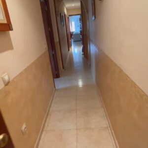 WhatsApp Video 2026-02-11 at 14.21.54-0