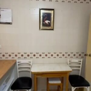 WhatsApp Video 2026-02-13 at 11.00.34-3 WhatsApp Video 2026-02-13 at 11.00.34-3