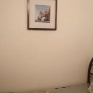 WhatsApp Video 2026-02-20 at 10.59.36-2 WhatsApp Video 2026-02-20 at 10.59.36-2