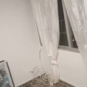 WhatsApp Video 2026-02-20 at 10.59.36-2 WhatsApp Video 2026-02-20 at 10.59.36-2