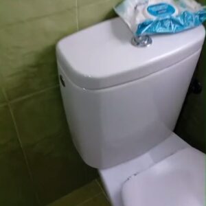 WhatsApp Video 2026-02-20 at 12.16.09-1