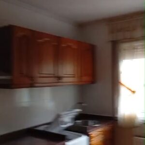 WhatsApp Video 2026-02-20 at 12.16.09-2