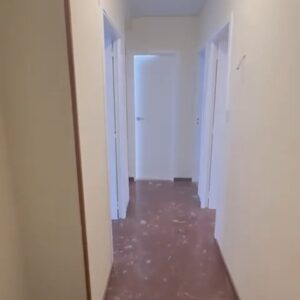 WhatsApp Video 2026-02-23 at 12.41.51-0 WhatsApp Video 2026-02-23 at 12.41.51-0