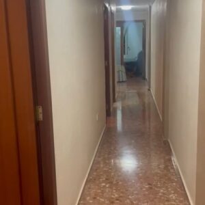 WhatsApp Video 2026-02-23 at 16.27.58-1 WhatsApp Video 2026-02-23 at 16.27.58-1