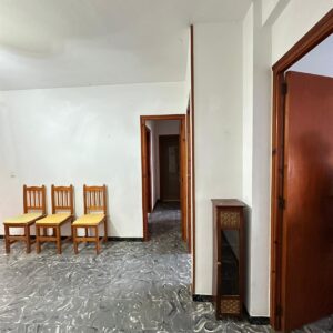 WhatsApp Image 2026-03-03 at 08.19.51 WhatsApp Image 2026-03-03 at 08.19.51