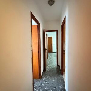 WhatsApp Image 2026-03-03 at 08.19.52 WhatsApp Image 2026-03-03 at 08.19.52