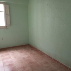 WhatsApp Image 2026-03-11 at 13.17.48 WhatsApp Image 2026-03-11 at 13.17.48