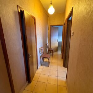 WhatsApp Image 2026-03-16 at 09.35.55 WhatsApp Image 2026-03-16 at 09.35.55