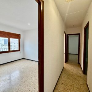 WhatsApp Image 2026-03-16 at 14.31.00 (5) WhatsApp Image 2026-03-16 at 14.31.00 (5)