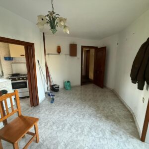 WhatsApp Image 2026-03-26 at 19.11.50