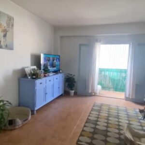 WhatsApp Video 2026-03-16 at 10.20.23-2