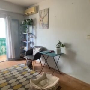 WhatsApp Video 2026-03-16 at 10.20.23-3