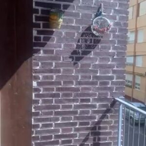 WhatsApp Video 2026-03-17 at 11.53.11-0 WhatsApp Video 2026-03-17 at 11.53.11-0