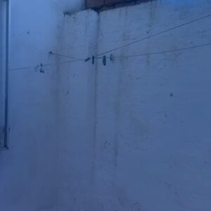 WhatsApp Video 2026-03-17 at 11.53.11-0 WhatsApp Video 2026-03-17 at 11.53.11-0