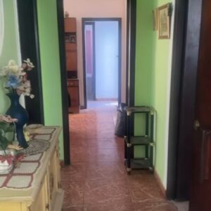 WhatsApp Video 2026-03-17 at 11.53.11-0 WhatsApp Video 2026-03-17 at 11.53.11-0