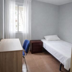 WhatsApp Image 2026-04-08 at 13.34.26 (4)