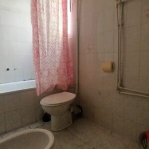 WhatsApp Image 2026-04-17 at 11.40.27 (3)