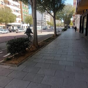 WhatsApp Image 2026-04-17 at 11.40.28 (3)