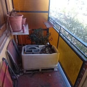 WhatsApp Image 2026-04-17 at 11.40.30