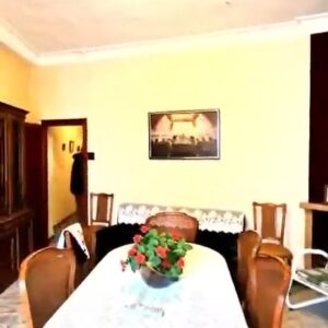 WhatsApp Video 2026-04-08 at 10.47.59-0