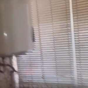 WhatsApp Video 2026-04-13 at 16.46.06-3