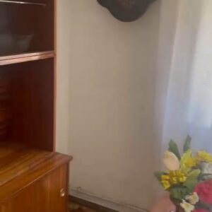 WhatsApp Video 2026-04-20 at 13.52.30-0