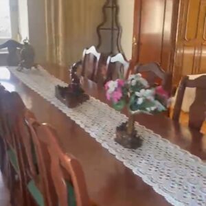 WhatsApp Video 2026-04-20 at 13.52.30-0