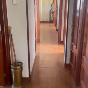 WhatsApp Video 2026-04-20 at 13.52.30-0